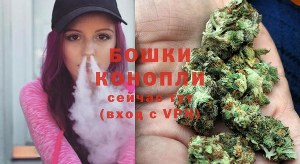 PSILOCYBIN Баксан